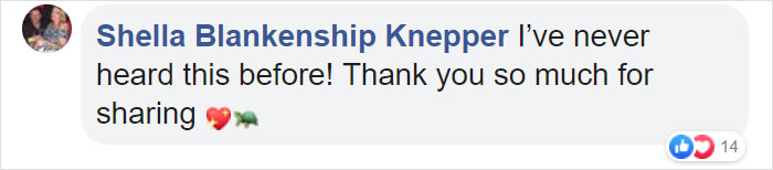 People Are Donating Their Old Bra Fasteners To Wildlife Organization That Uses Them To Save Turtles