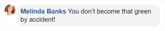 Two French Bulldogs Who Accidentally Cover Themselves In Green Become Viral Two French Bulldogs Who Accidentally Cover Themselves In Green Become Viral