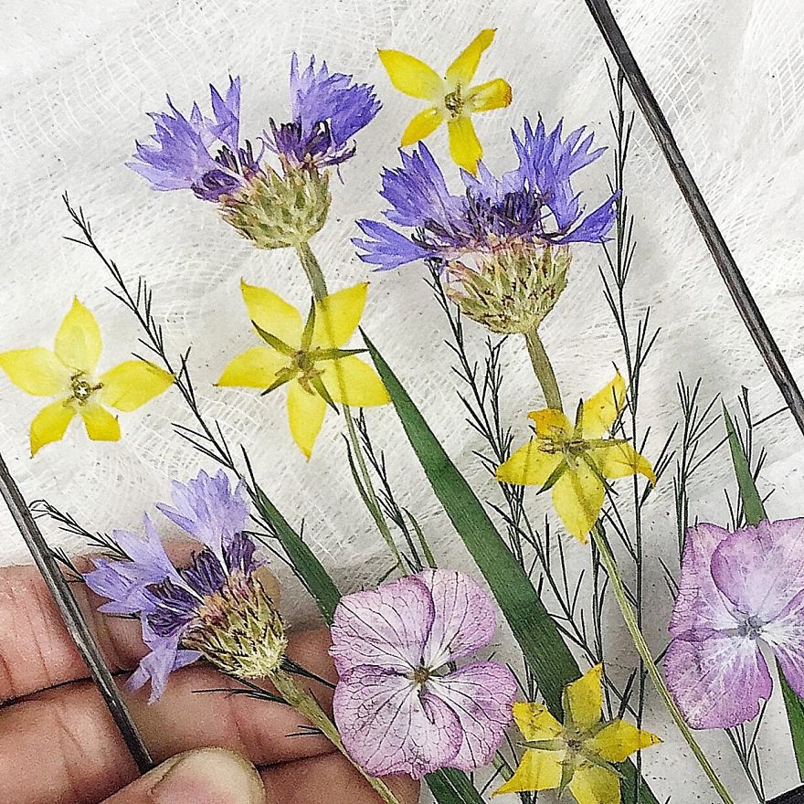 Flowers In My Life: How I Learned Many New Things Thanks To One New Hobby