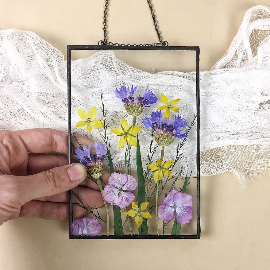 Flowers In My Life: How I Learned Many New Things Thanks To One New Hobby