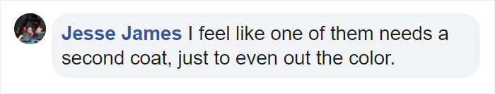 Two French Bulldogs Who Accidentally Cover Themselves In Green Become Viral Two French Bulldogs Who Accidentally Cover Themselves In Green Become Viral