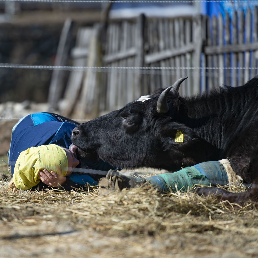 They Reward Their Humans With A Big Sloppy Kiss