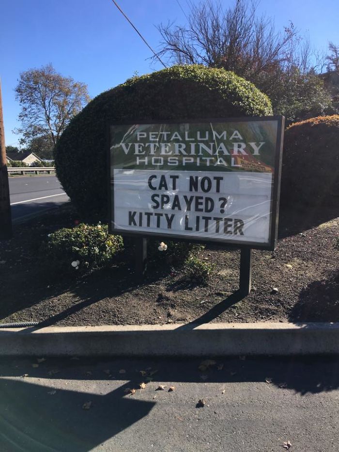 Funny Vet Clinics Signs About Cats Funny-Cat-Veterinary-Clinic-Signs