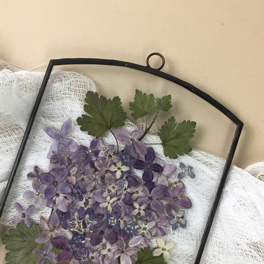 Flowers In My Life: How I Learned Many New Things Thanks To One New Hobby