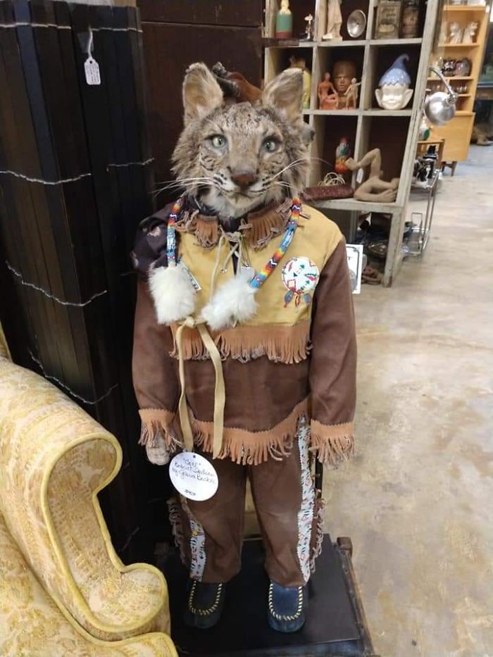 Found In A Second Hand Store In Austin