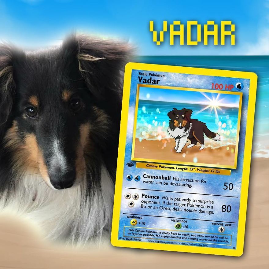 This Artist Transforms Any Pet Into Pokémon Cards