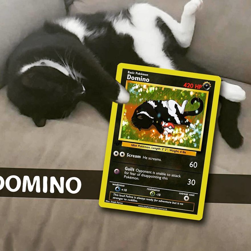 This Artist Transforms Any Pet Into Pokémon Cards