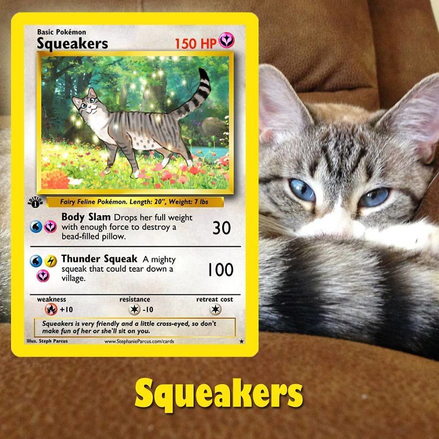 This Artist Transforms Any Pet Into Pokémon Cards