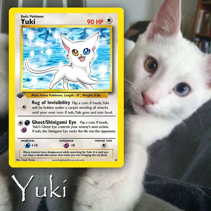 This Artist Transforms Any Pet Into Pokémon Cards