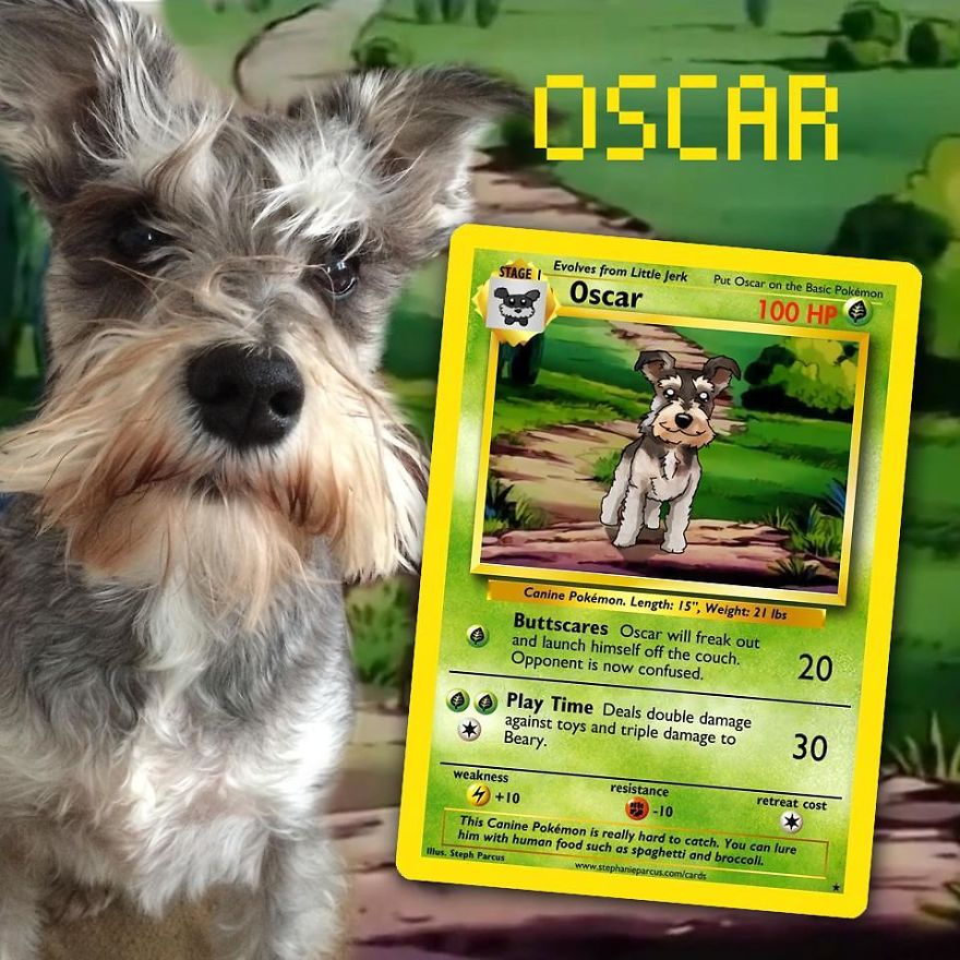 This Artist Transforms Any Pet Into Pokémon Cards
