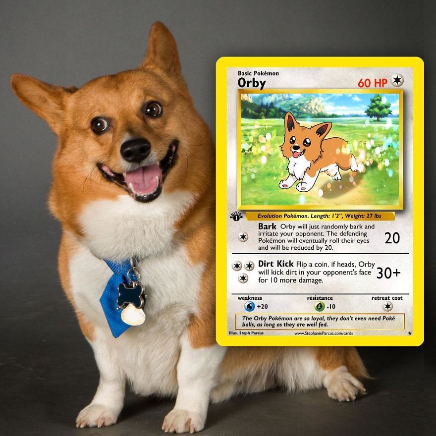 This Artist Transforms Any Pet Into Pokémon Cards