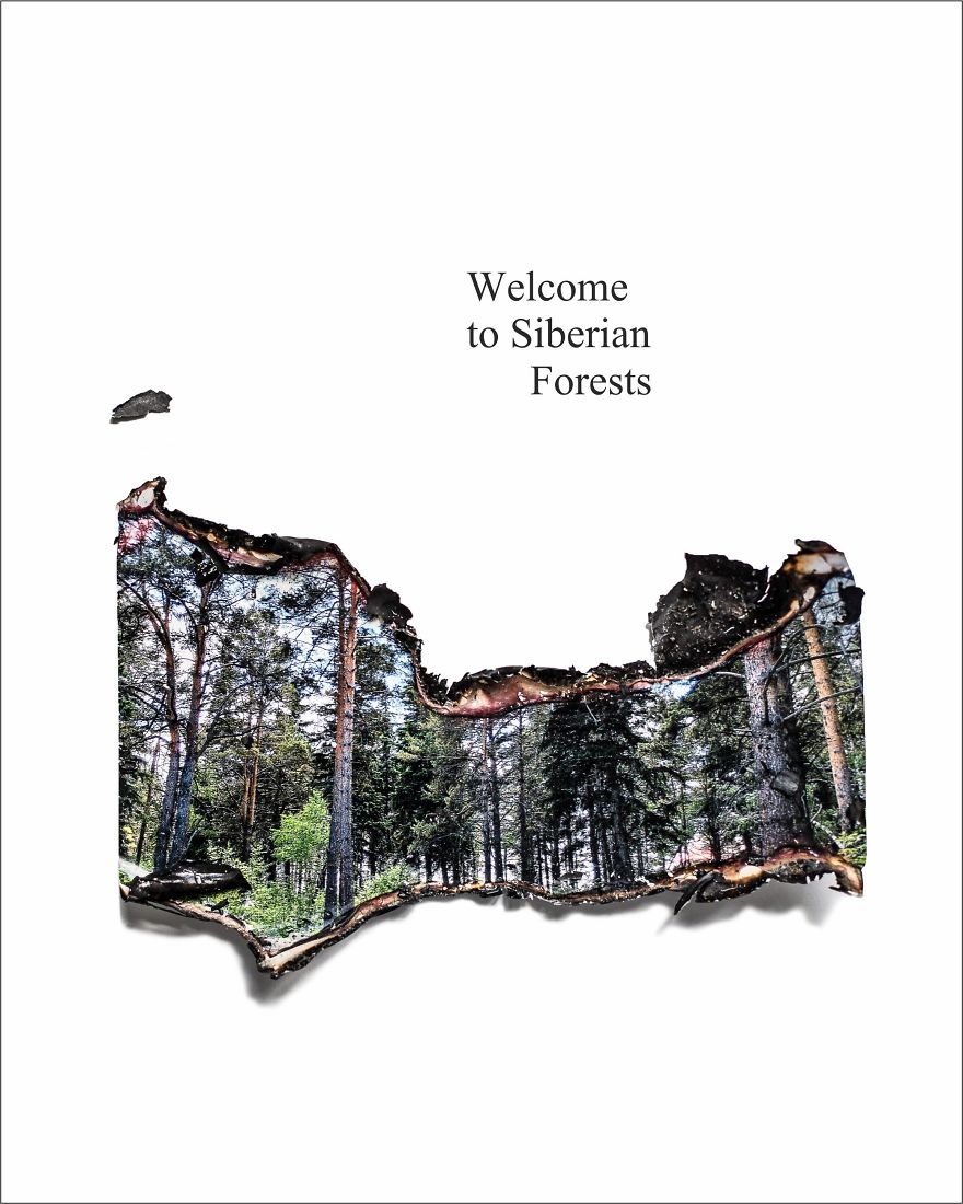 Siberian Forests Are On Fire And I Can‘t Be Silent, So I Created A Series Of Posters