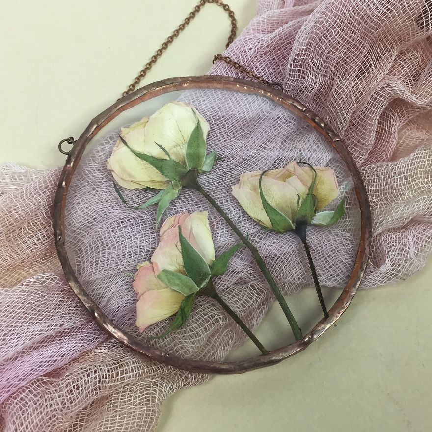 Flowers In My Life: How I Learned Many New Things Thanks To One New Hobby