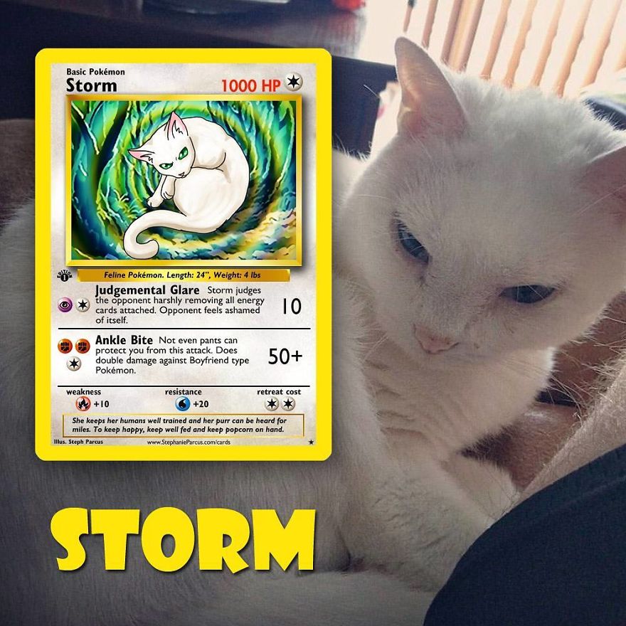 This Artist Transforms Any Pet Into Pokémon Cards