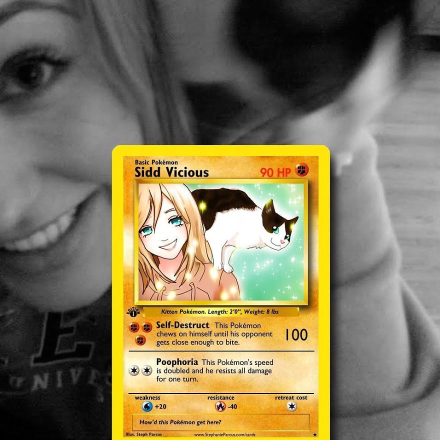 This Artist Transforms Any Pet Into Pokémon Cards