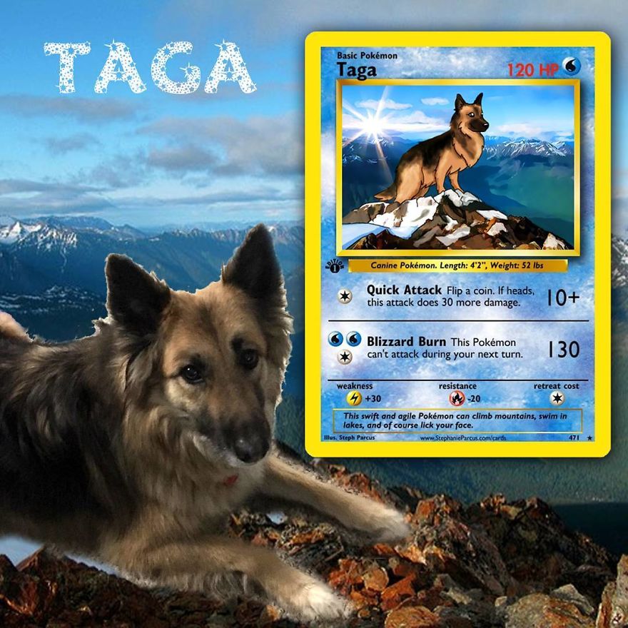 This Artist Transforms Any Pet Into Pokémon Cards