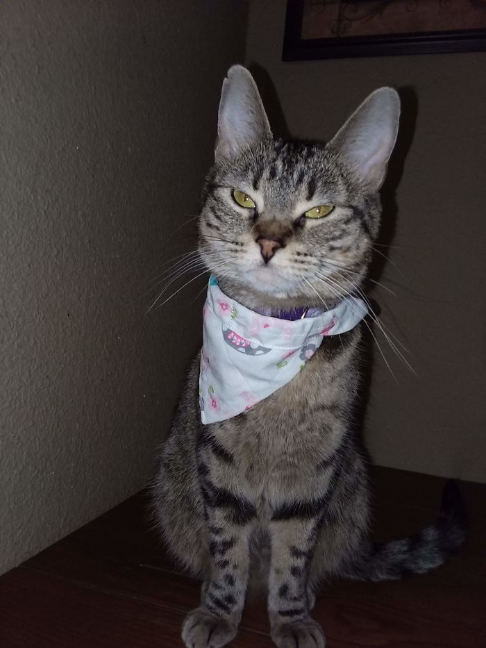 I'm Starting An Animal Rescue To Give Abandoned Animals A Second Chance At Life I'm Starting An Animal Rescue To Give Abandoned Animals A Second Chance At Life