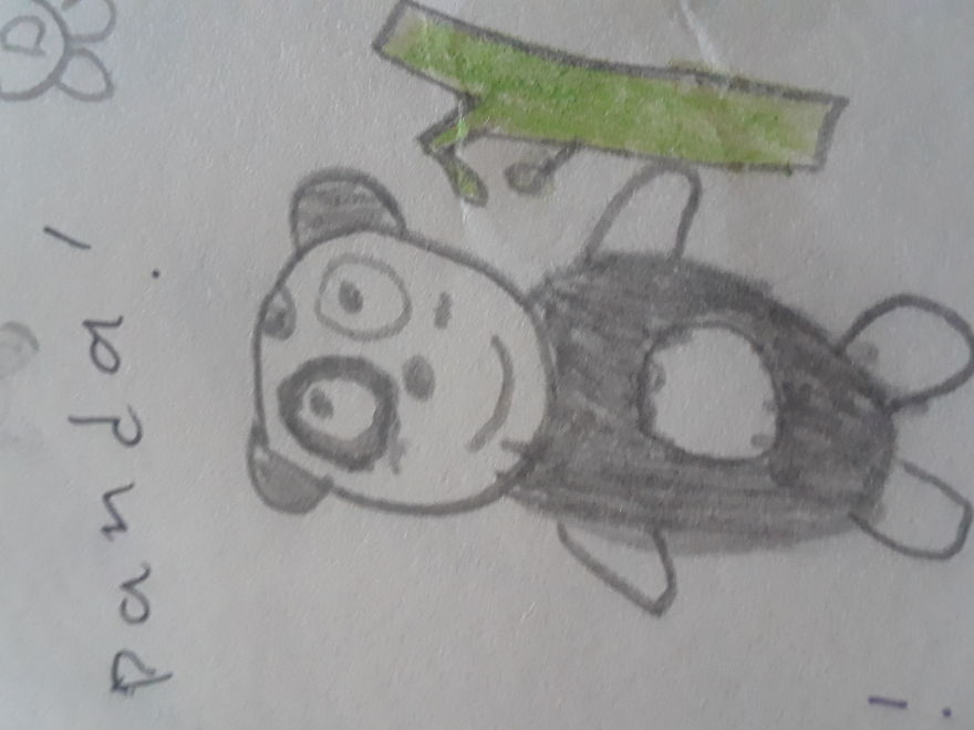 I Drew Pandas With Different Personalities, Jobs, And Looks