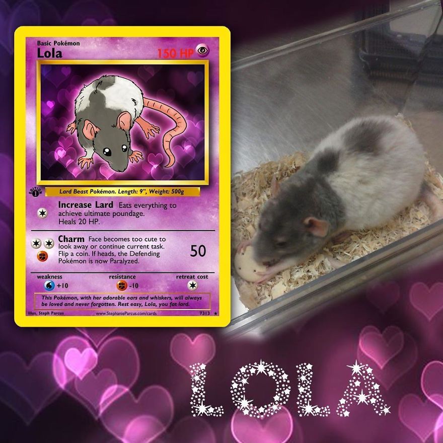 This Artist Transforms Any Pet Into Pokémon Cards