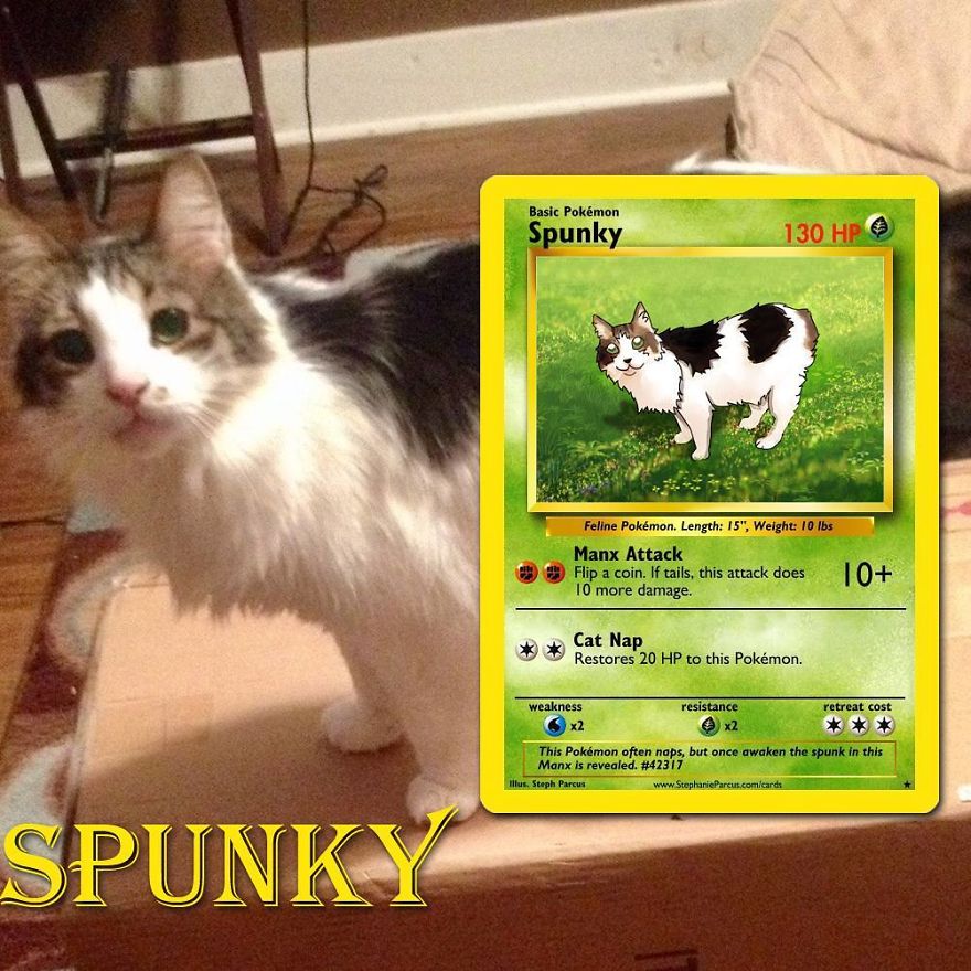 This Artist Transforms Any Pet Into Pokémon Cards