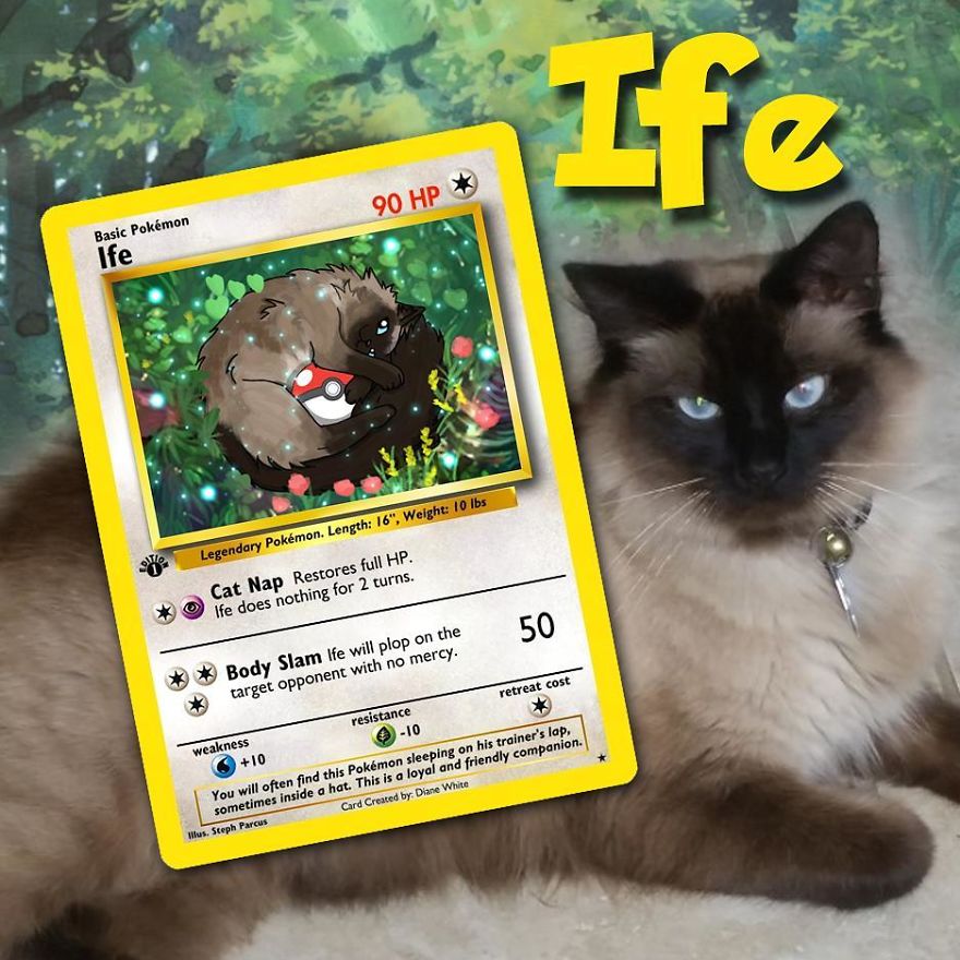 This Artist Transforms Any Pet Into Pokémon Cards