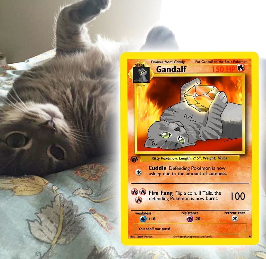 This Artist Transforms Any Pet Into Pokémon Cards