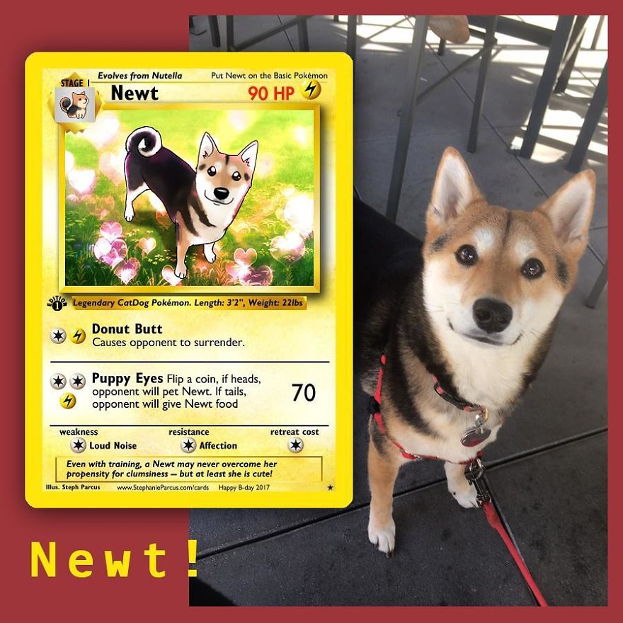 This Artist Transforms Any Pet Into Pokémon Cards