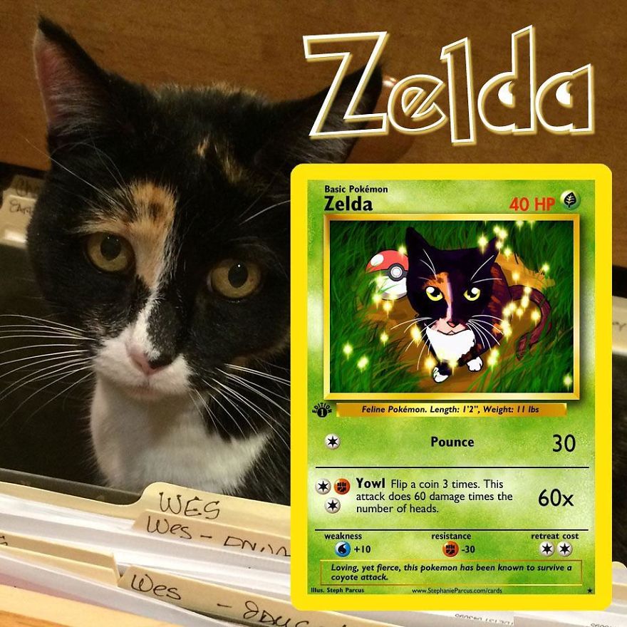 This Artist Transforms Any Pet Into Pokémon Cards