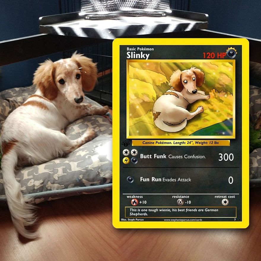 This Artist Transforms Any Pet Into Pokémon Cards