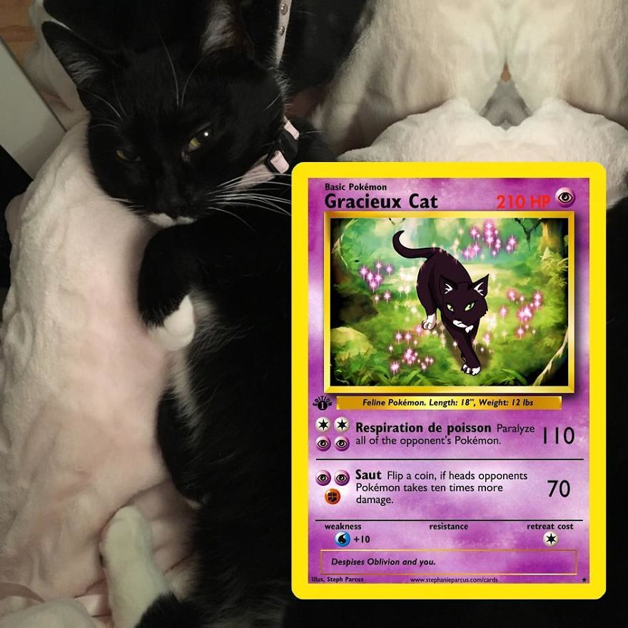 This Artist Transforms Any Pet Into Pokémon Cards