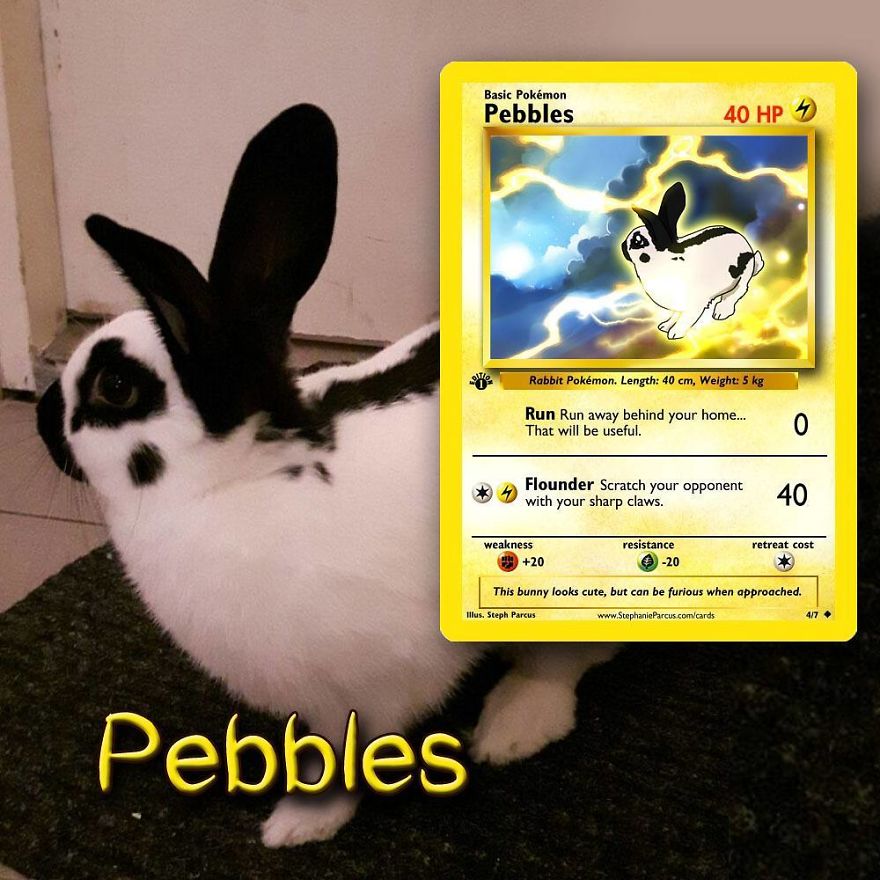 This Artist Transforms Any Pet Into Pokémon Cards