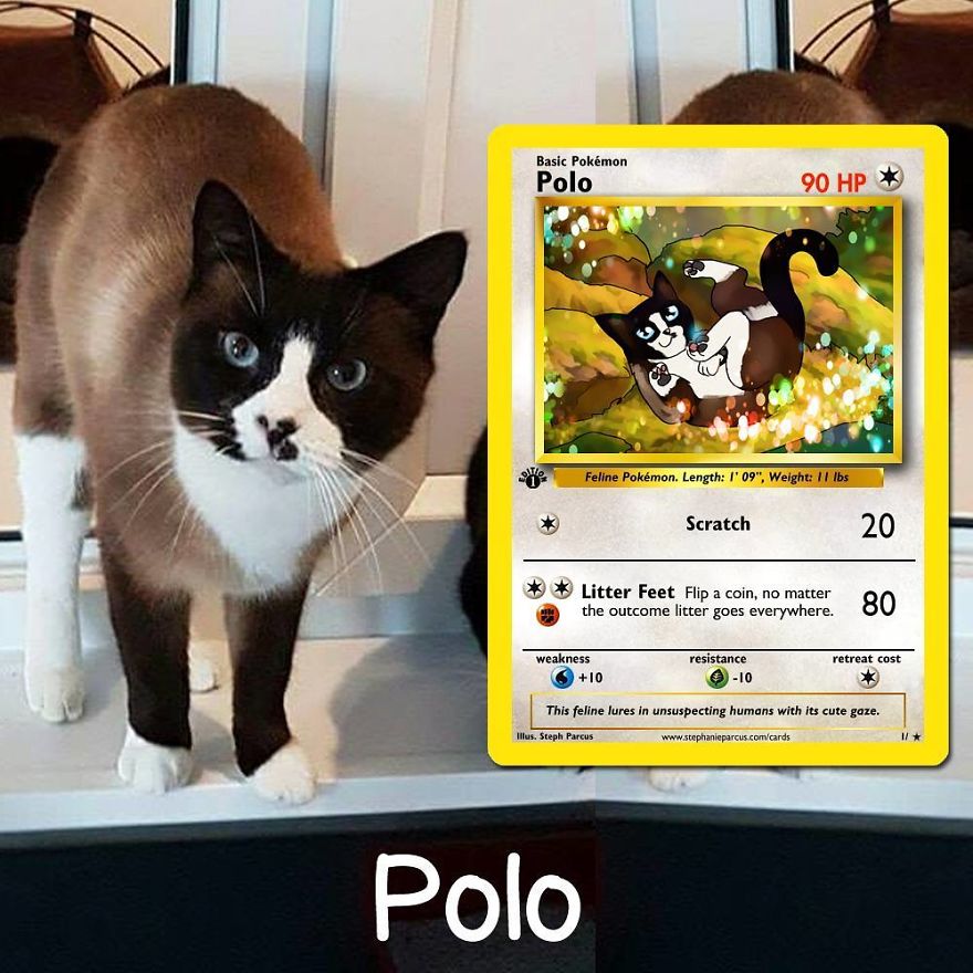 This Artist Transforms Any Pet Into Pokémon Cards