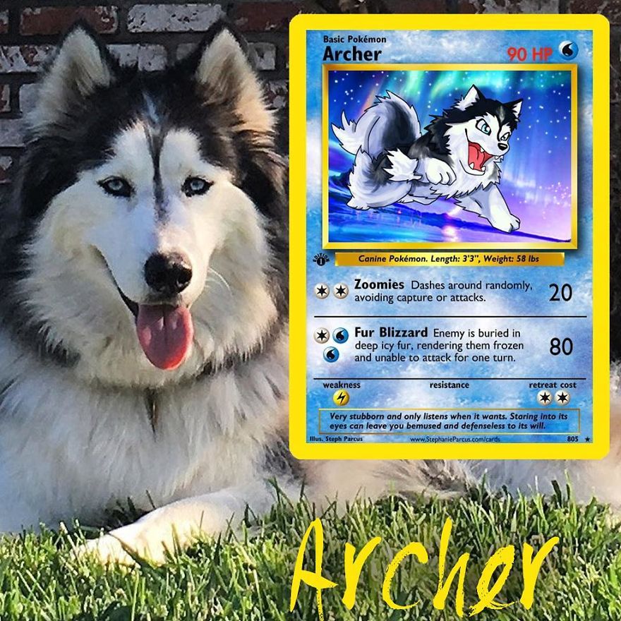 This Artist Transforms Any Pet Into Pokémon Cards