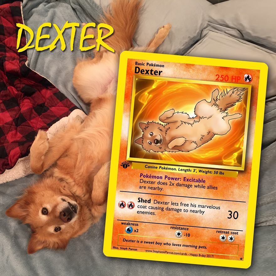 This Artist Transforms Any Pet Into Pokémon Cards