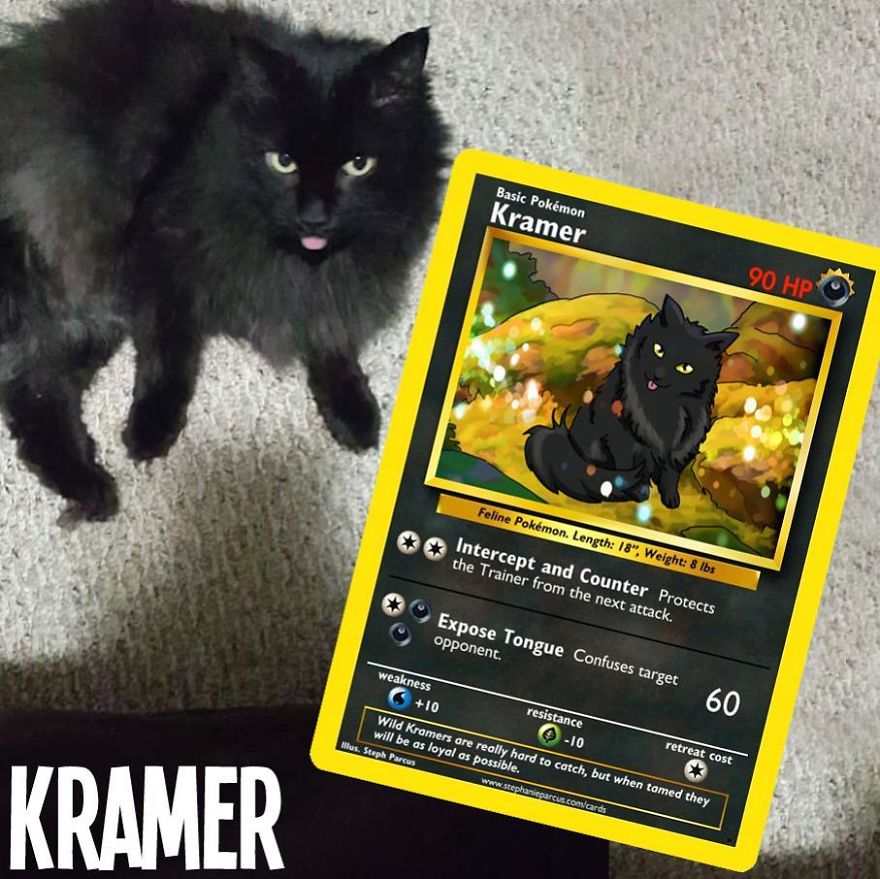This Artist Transforms Any Pet Into Pokémon Cards