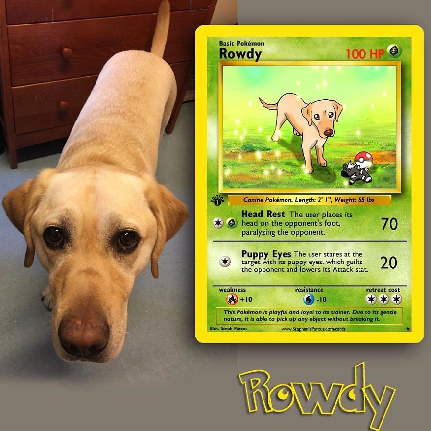 This Artist Transforms Any Pet Into Pokémon Cards