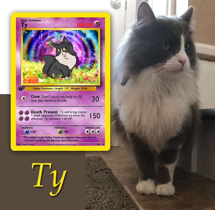 This Artist Transforms Any Pet Into Pokémon Cards