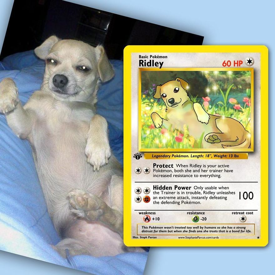 This Artist Transforms Any Pet Into Pokémon Cards