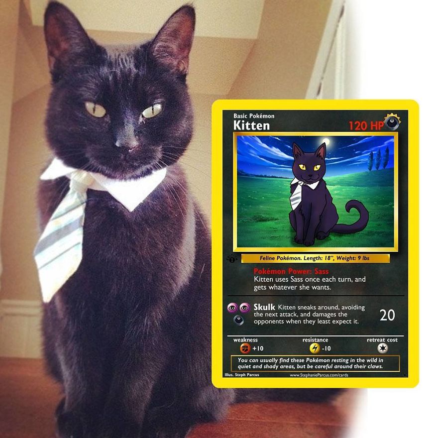 This Artist Transforms Any Pet Into Pokémon Cards