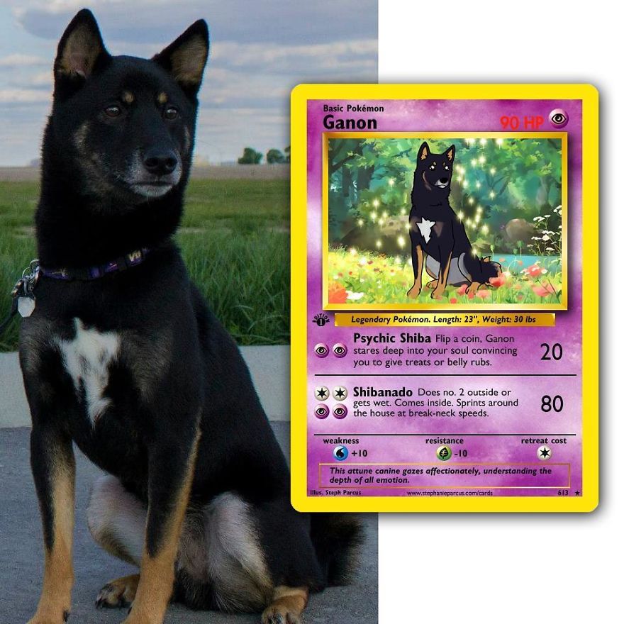 This Artist Transforms Any Pet Into Pokémon Cards