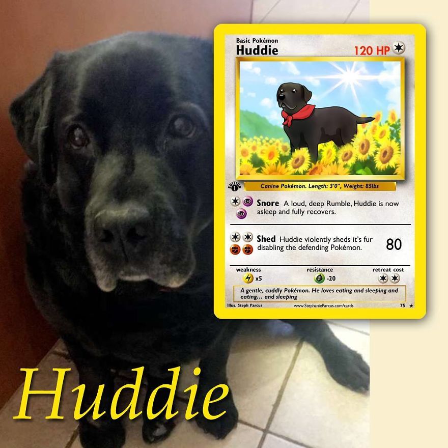 This Artist Transforms Any Pet Into Pokémon Cards