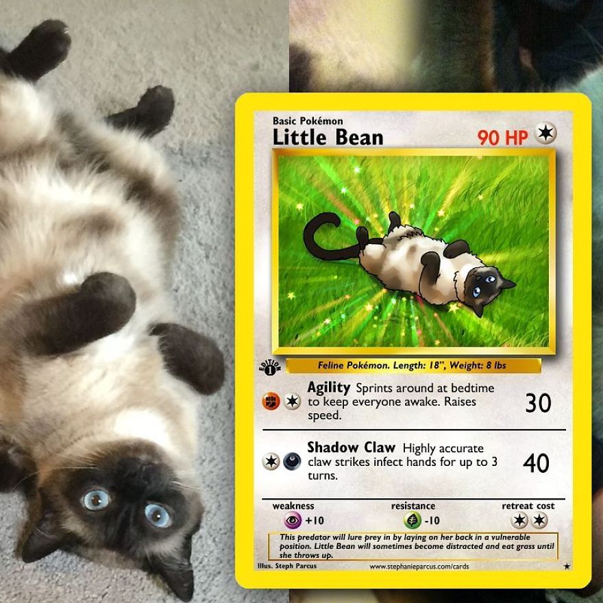 This Artist Transforms Any Pet Into Pokémon Cards