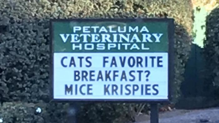 Funny Vet Clinics Signs About Cats Funny-Cat-Veterinary-Clinic-Signs