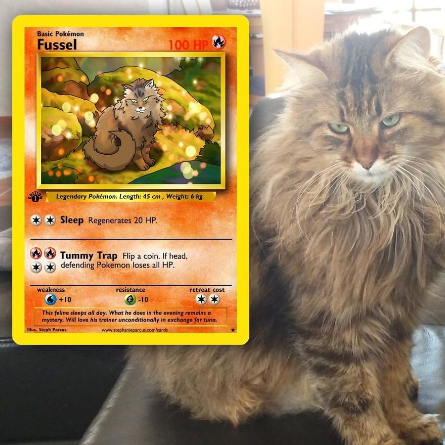 This Artist Transforms Any Pet Into Pokémon Cards