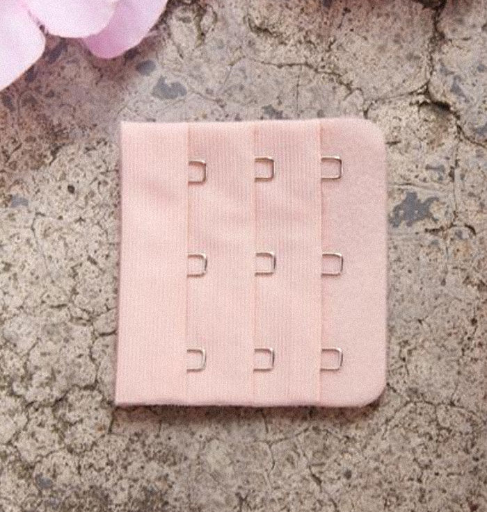 People Are Donating Their Old Bra Fasteners To Wildlife Organization That Uses Them To Save Turtles People Are Donating Their Old Bra Fasteners To Wildlife Organization That Uses Them To Save Turtles