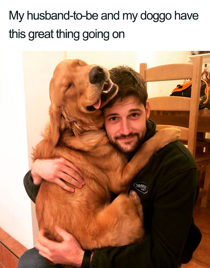 Wholesome-Dog-Posts