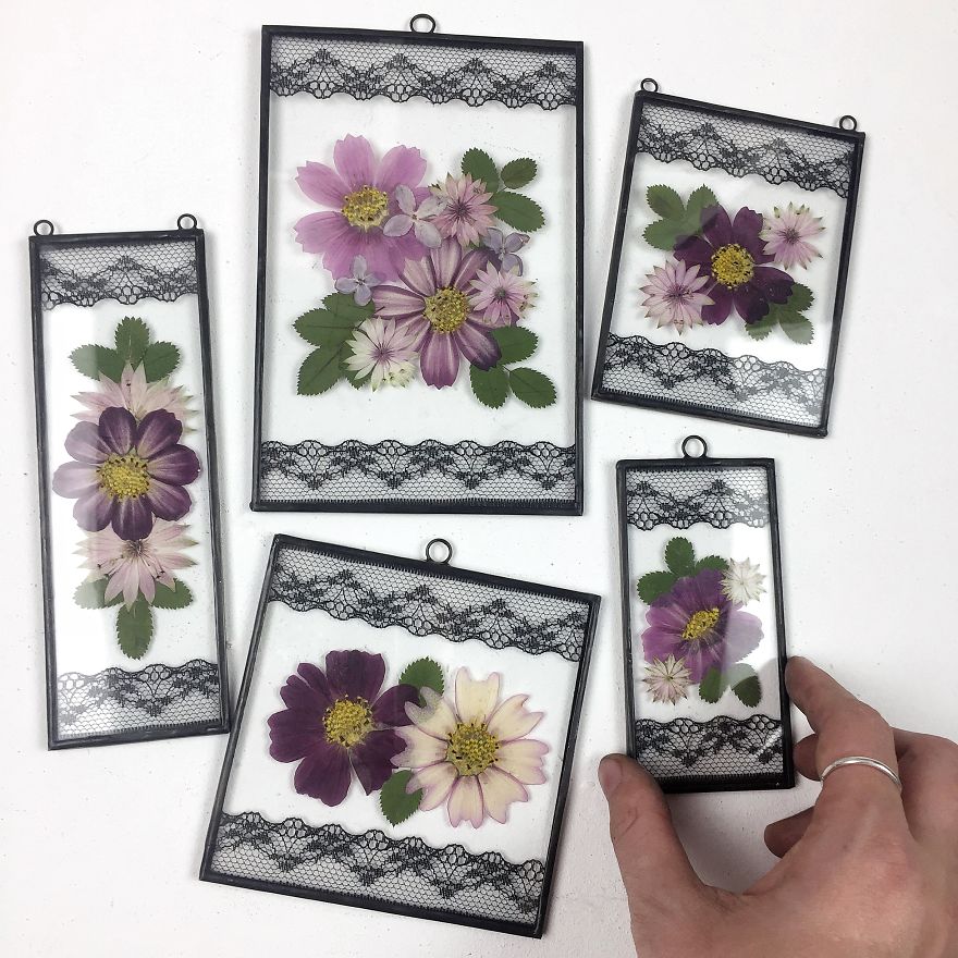 Flowers In My Life: How I Learned Many New Things Thanks To One New Hobby