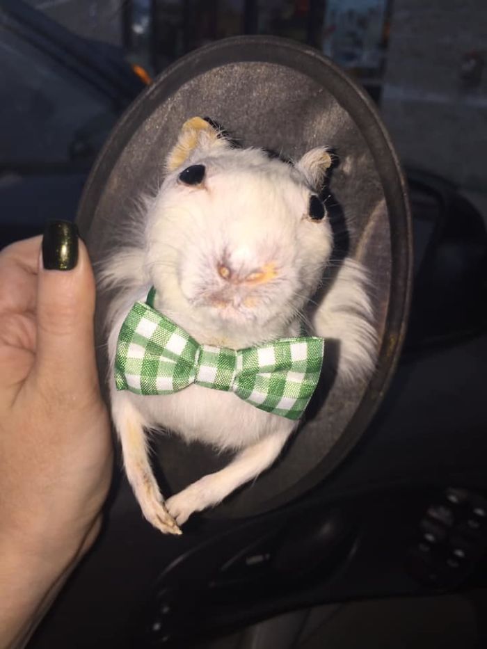 What Should I Name Him? I Obviously Took Him Home