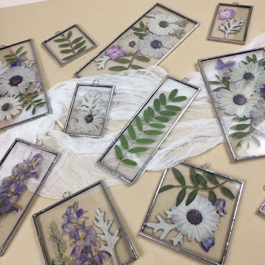 Flowers In My Life: How I Learned Many New Things Thanks To One New Hobby