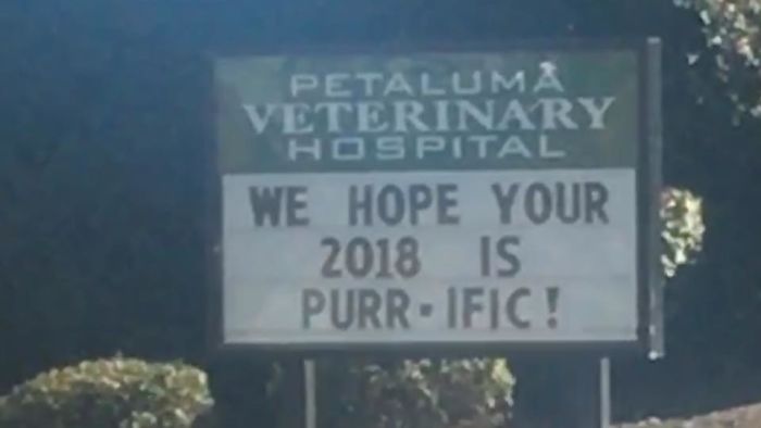 Funny Vet Clinics Signs About Cats Funny-Cat-Veterinary-Clinic-Signs